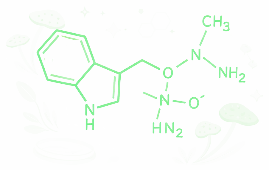 Compounds archive illustration